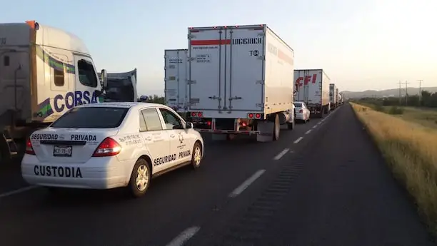 Custodia a Transporte